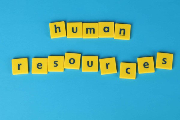 Quelles sont les meilleures pratiques pour une formation en gestion des ressources humaines dans les ONG?